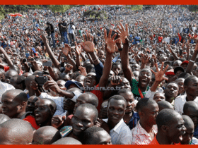 Topic 4: Democratic Process And Practices - General Studies Notes Form 5 & 6