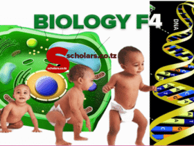 Topic 5: Human Immuno Deficiency (HIV), Acquired Immuno Deficiency Syndrome (AIDS), And Sexual Transmitted Infections (STI'S) - Biology Notes Form 4