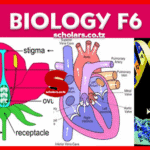 Topic 4: Genetics - Biology Notes Form 6