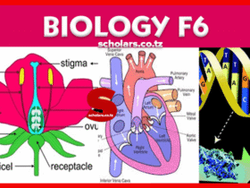 Topic 4: Genetics - Biology Notes Form 6