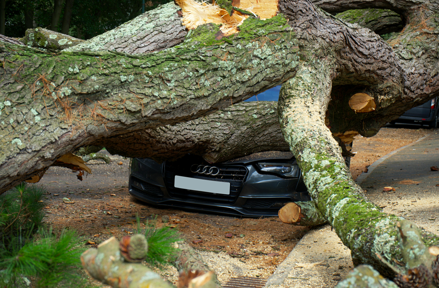 What is the Average Cost of Auto Insurance in Philadelphia